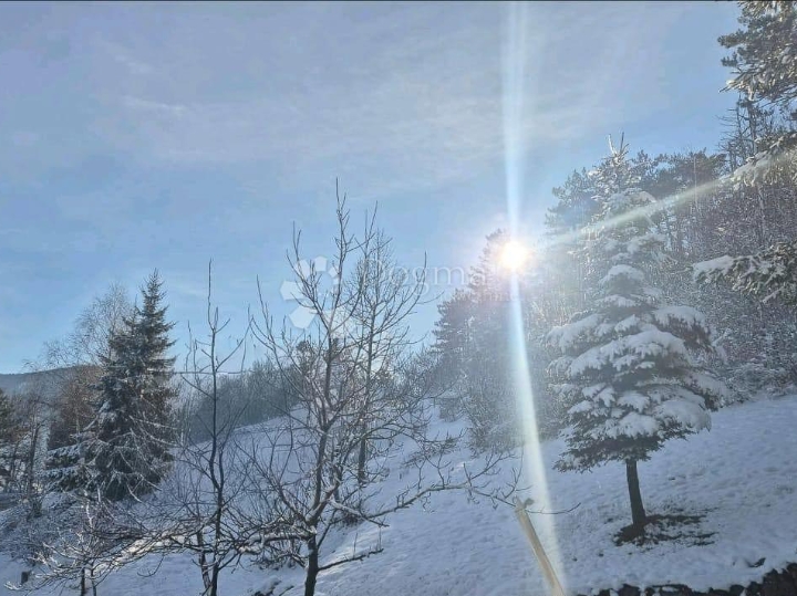 Savršenstvo u zelenilu Gorskog kotara