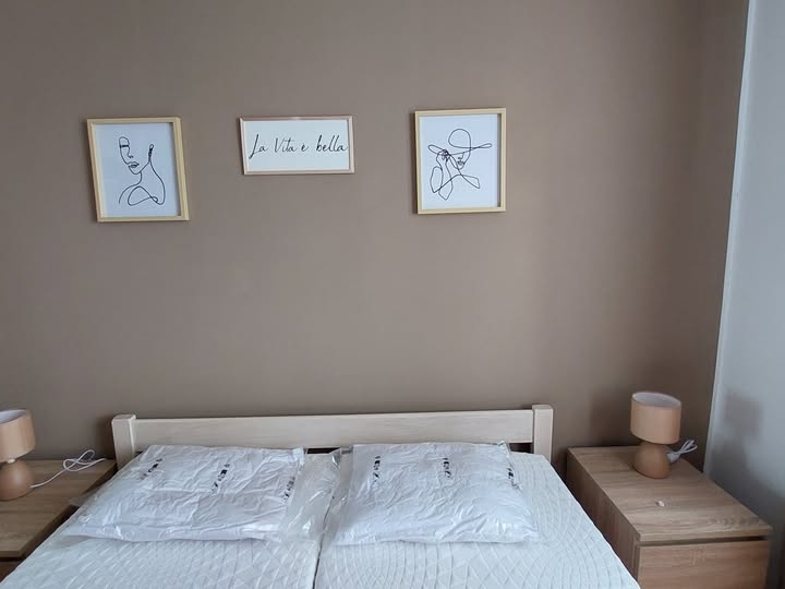 Dvosobni klasični  stan (1S+DB)