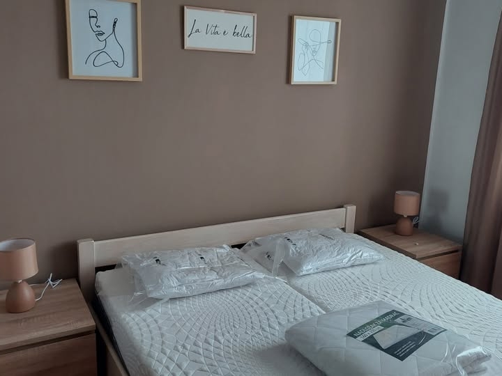 Dvosobni klasični  stan (1S+DB)