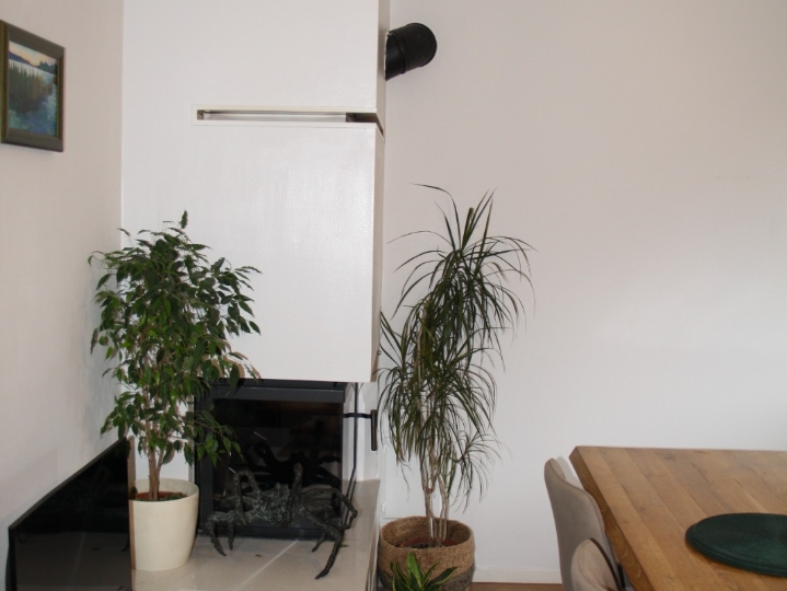 Iznajmljujem prostrani studio