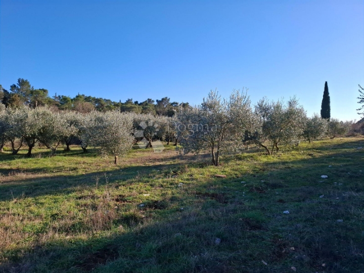 Sniženo!!! Građevinsko + poljop. zemljište Rakalj