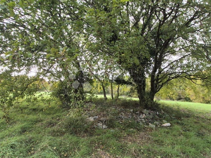 Građevinsko 574 m2 + poljop. 10325 m2 u Valturi