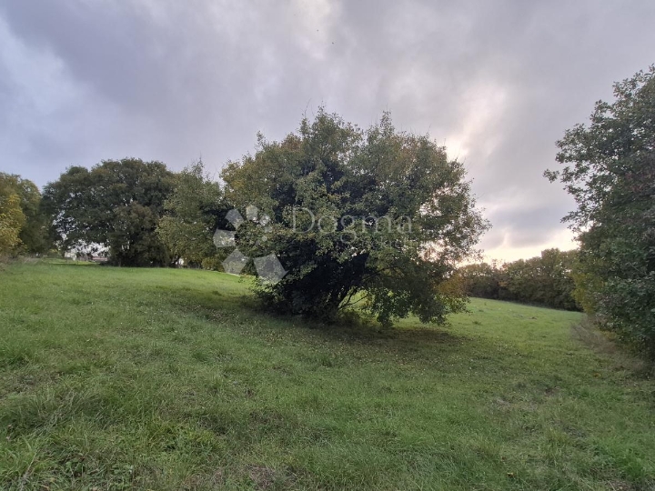 Građevinsko 574 m2 + poljop. 10325 m2 u Valturi