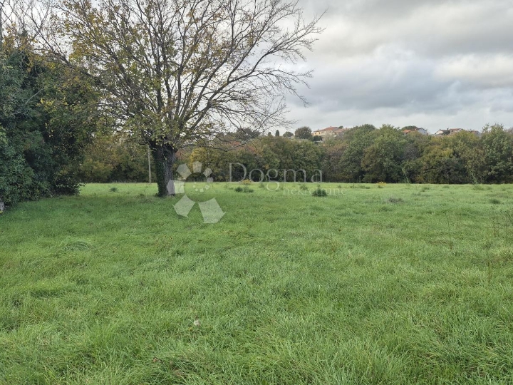 Građevinsko 574 m2 + poljop. 10325 m2 u Valturi