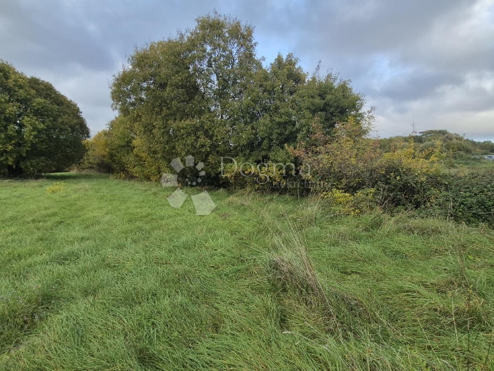 Građevinsko 574 m2 + poljop. 10325 m2 u Valturi