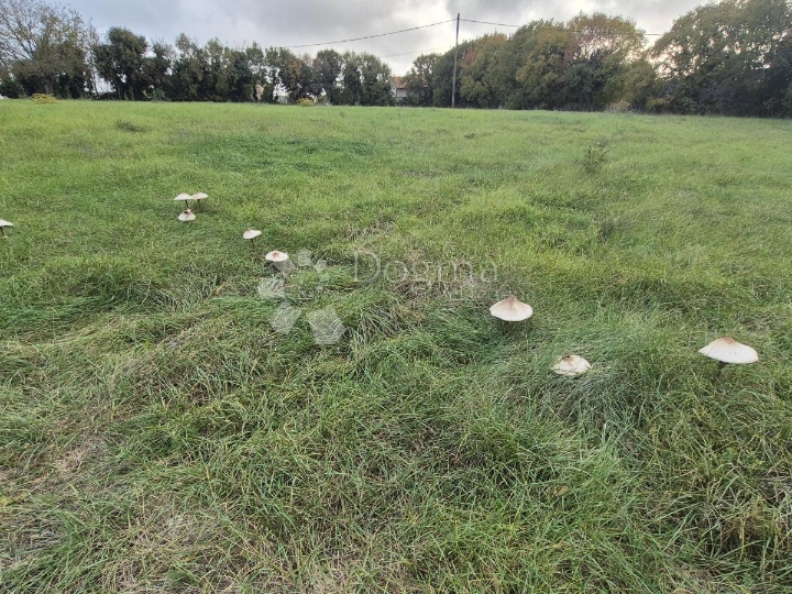 Građevinsko 574 m2 + poljop. 10325 m2 u Valturi