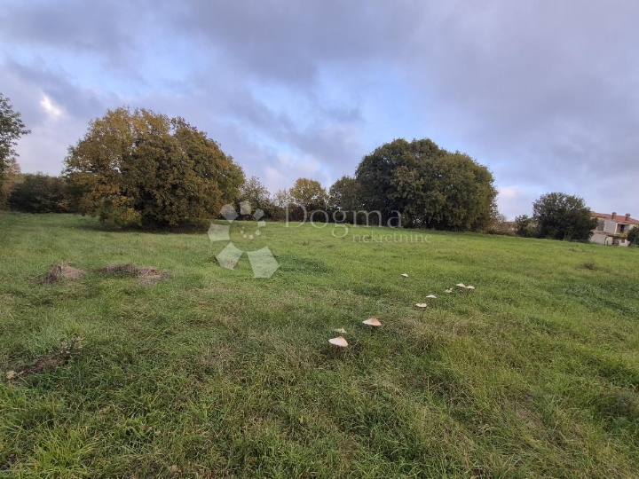 Građevinsko 574 m2 + poljop. 10325 m2 u Valturi