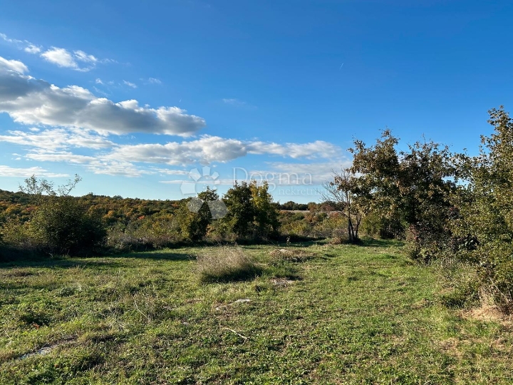 Bale – idilična pozicija na rubu sela