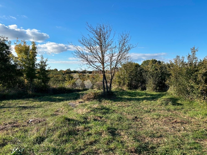 Bale – idilična pozicija na rubu sela