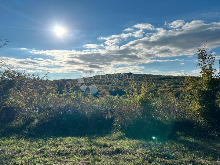 Bale – idilična pozicija na rubu sela
