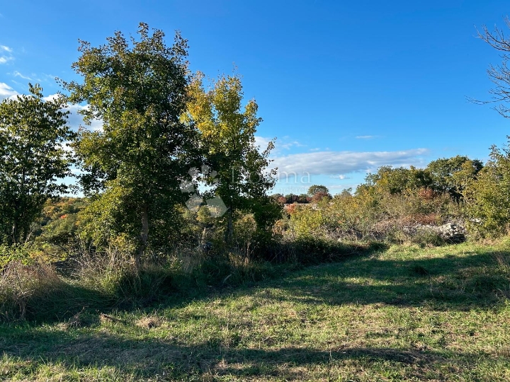 Bale – idilična pozicija na rubu sela