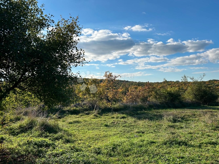 Bale – idilična pozicija na rubu sela
