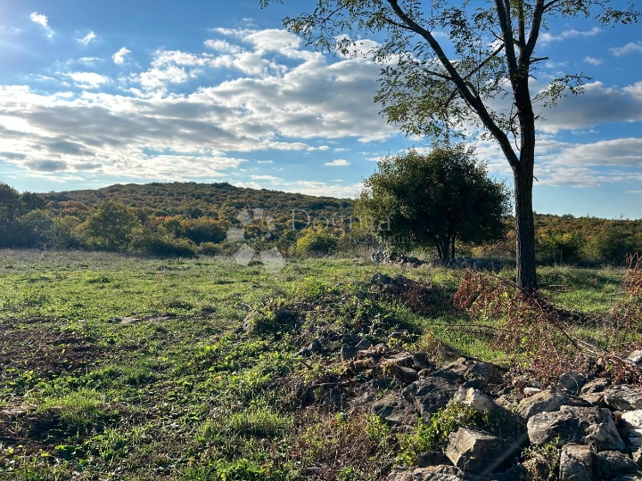 Bale – idilična pozicija na rubu sela