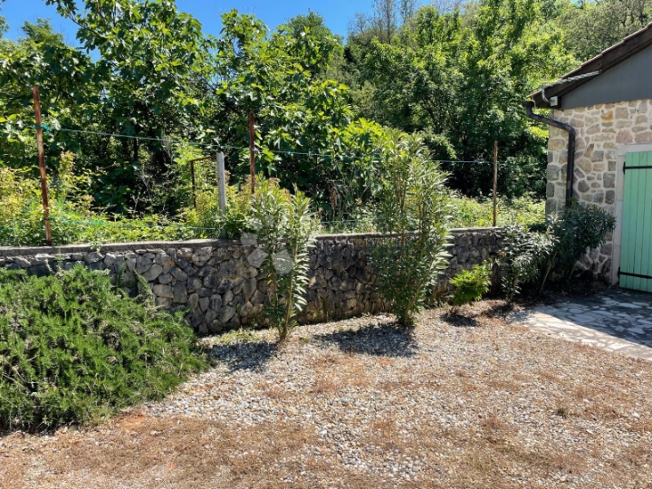 Kuća s bazenom, okružena zelenilom