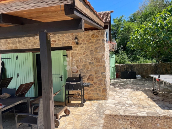 Kuća s bazenom, okružena zelenilom