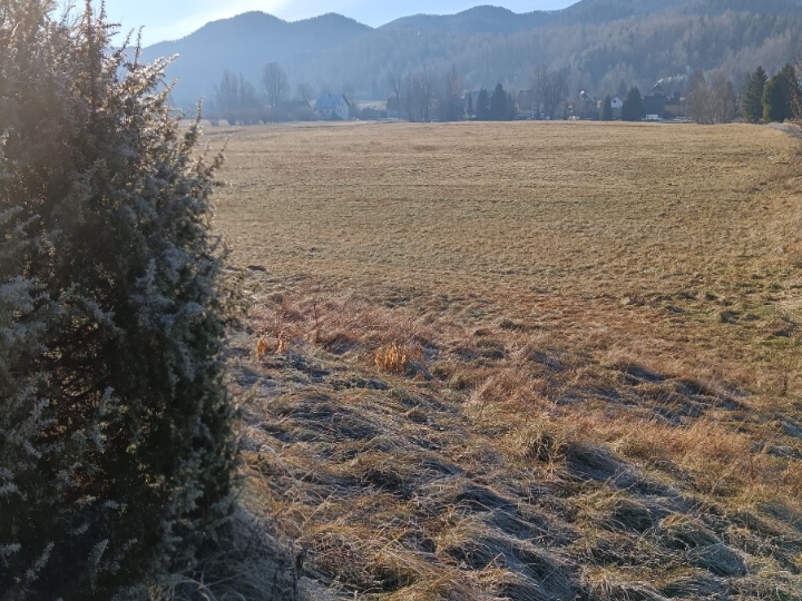 Poljoprivredno zemljište