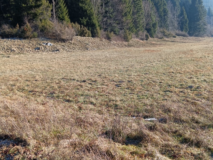 Poljoprivredno zemljište