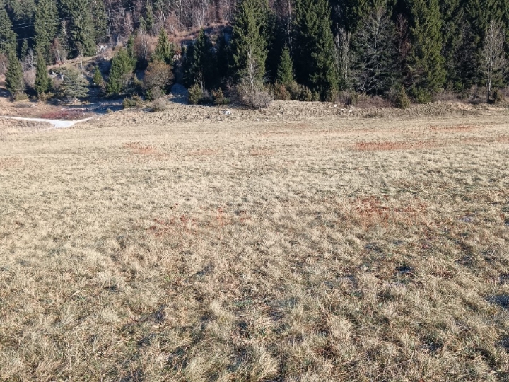 Poljoprivredno zemljište