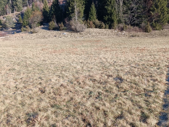 Poljoprivredno zemljište