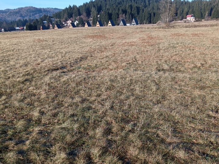 Poljoprivredno zemljište