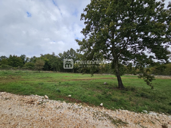 Istra, okolica Barbana, 772m2 građevinskog zemljišta