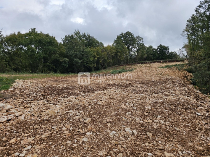 Istra, okolica Barbana, 772m2 građevinskog zemljišta