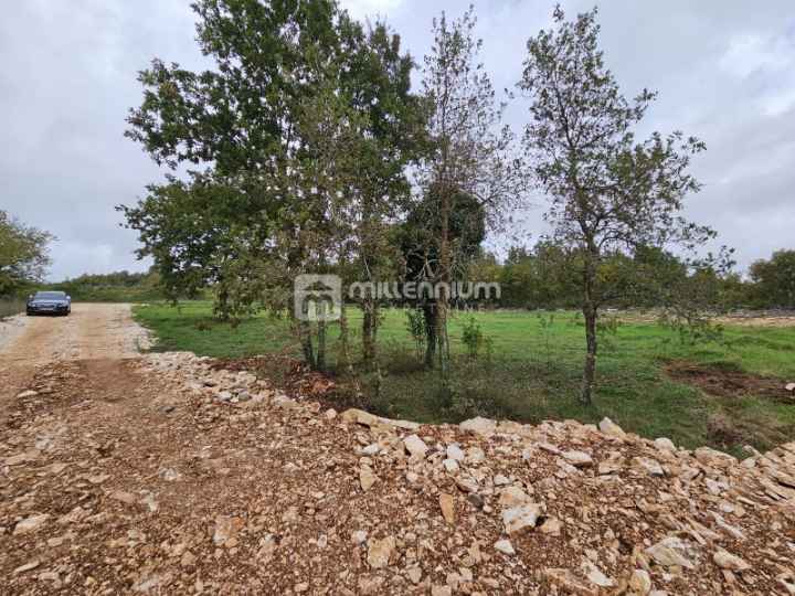 Istra, okolica Barbana, 772m2 građevinskog zemljišta