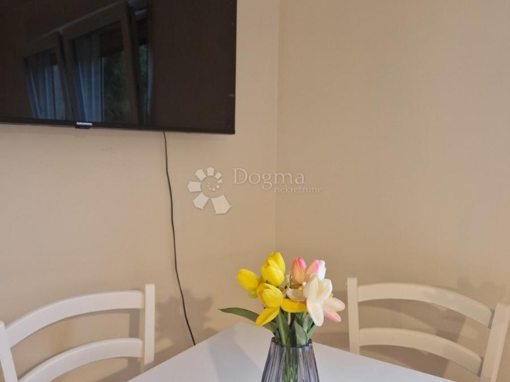 Drenova, odlična garsonjera!