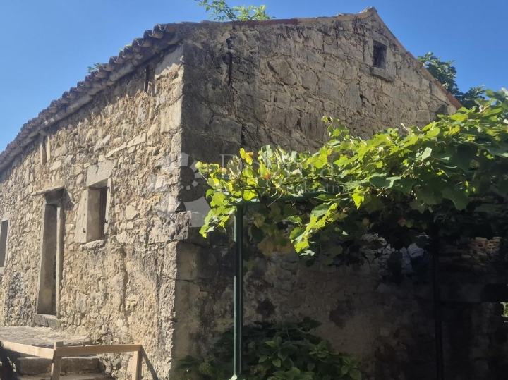 Boljun - starina u istarskom biseru