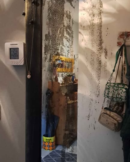 Stara komodica i ogledalo 