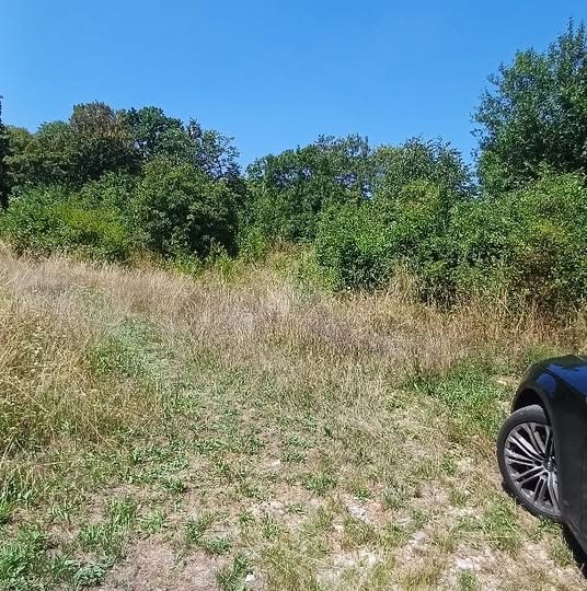 Viškovo, Mladenići