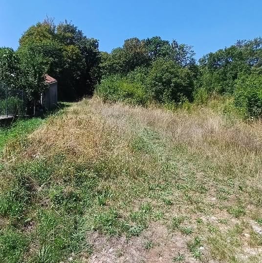 Viškovo, Mladenići