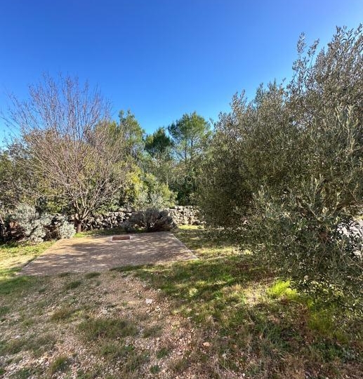 Zadar, Pridraga -100 m od mora