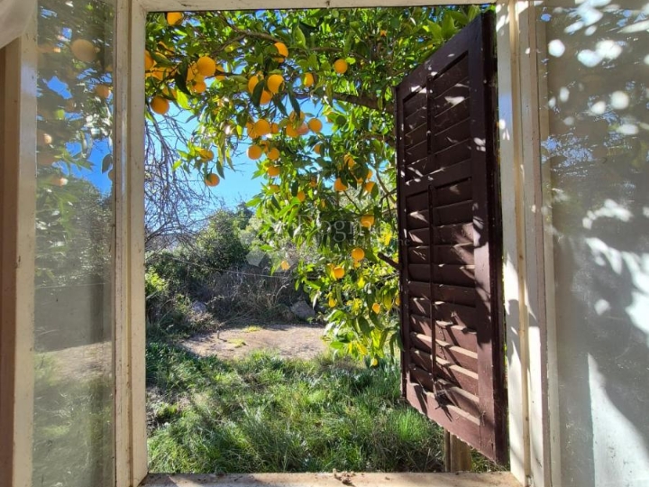 Kuća na Pašmanu niti 500m od mora!