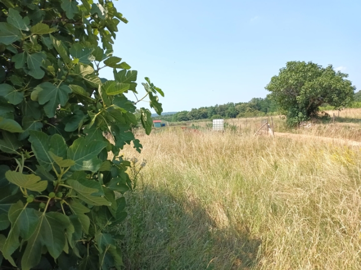 Građevinsko zemljište u sv. Ivanu