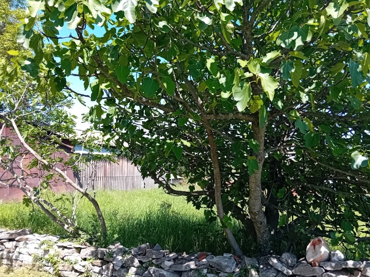 Građevinsko zemljište u sv. Ivanu