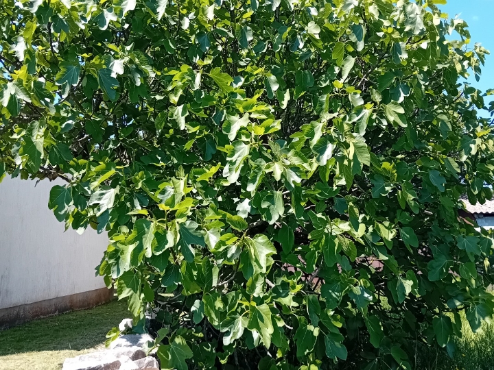 Građevinsko zemljište u sv. Ivanu