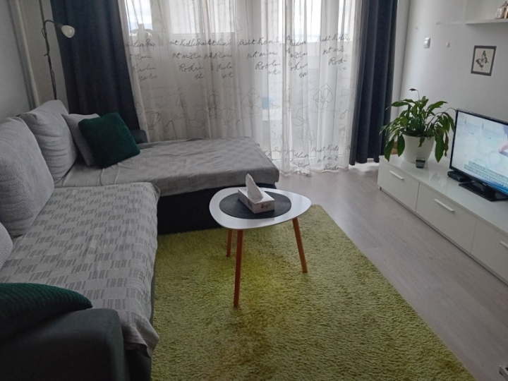 Rijeka Turnić, 1S+DB, najam