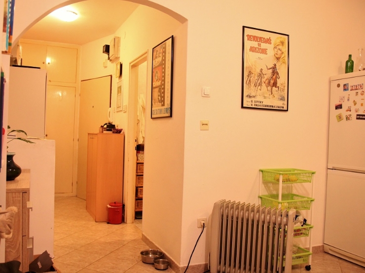 Donja Vežica, iznajmljujem 1S+DB