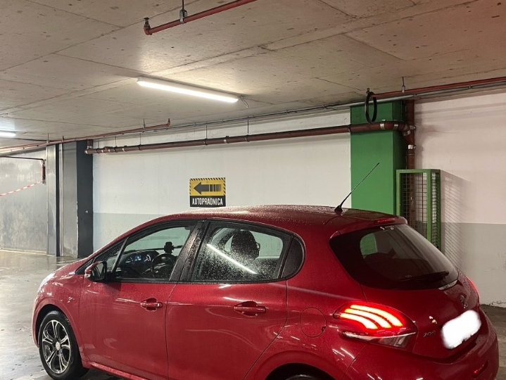 Peugeot 208, reg. god. dana.