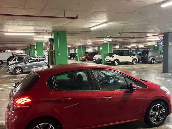 Peugeot 208 reg. god. dana