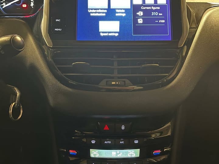 Peugeot 208 reg. god. dana