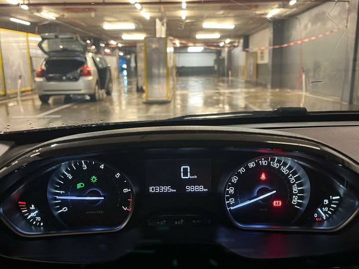 Peugeot 208 reg. god. dana