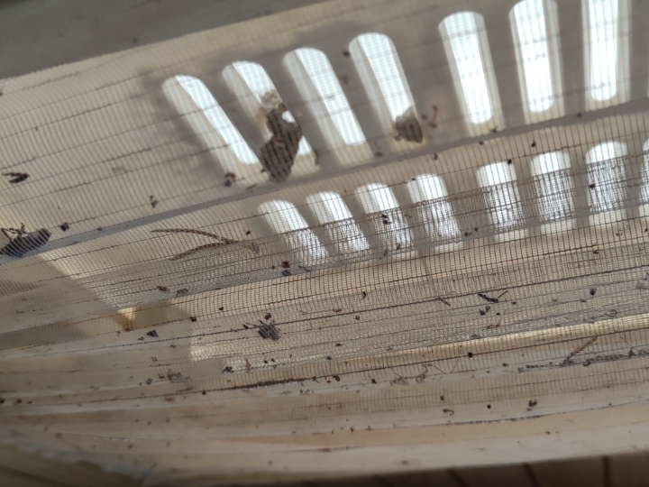 Adria kampica 5 m duga, plus rudo