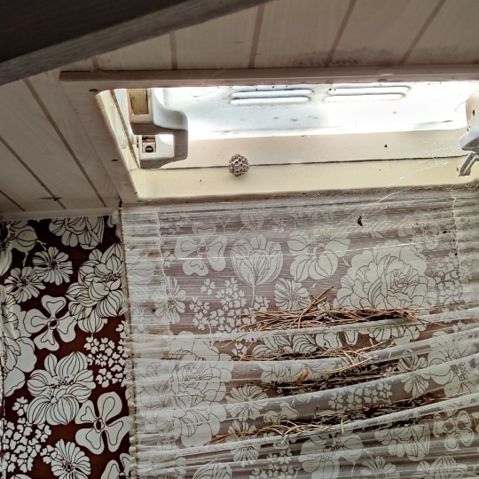 Adria kampica 5 m duga, plus rudo