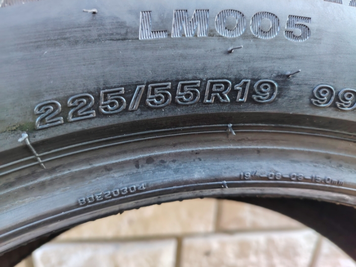 Gume zimske Bridgestone 225/55/19