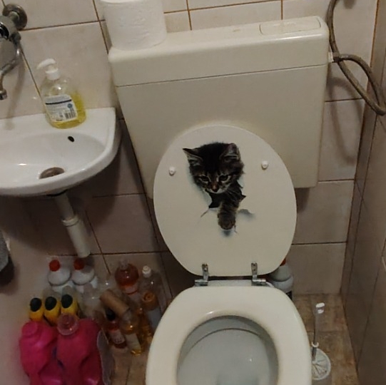 G. Duella, trosobni 75 m2