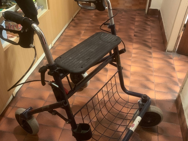 Hodalica s kotačima (rolator)