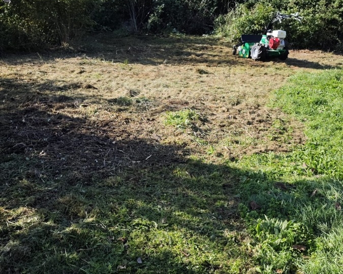 Čišćenje zaraslih zemljišta, košnja