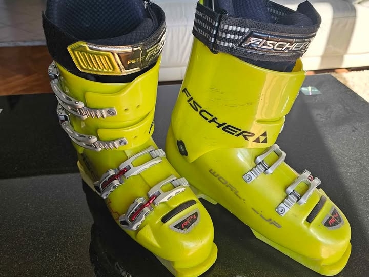 Pancerice Fischer RC4